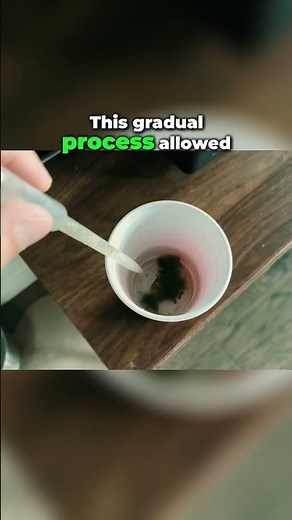 How to Acclimate Shrimp 🦐 for a Thriving Aquarium? 🌊