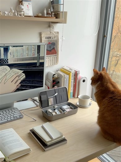 gyuri⌇home creator⌇4 cats 𓍊𓄽green home ⌇cozy living𓍲styling on Instagram: "#제품제공 데스크 매트도 잘 쓰고 있는 브랜드 오비키의 Orbitkey 네스트 v2. 책상 위에 이것저것 올려두는 편이라 정리함은 늘 필요했는데, 정리와 충전을 한 번에 할 수 있어서 확실히 편하다 ☺️ 노트북 용품이랑 에어팟, 충전기, SD카드, 핸드크림처럼 자주 쓰는 것들만 딱 넣어두기 좋고, 안쪽 파티션을 옮길 수 있어서 내 물건에 맞게 정리할 수 있는 점도 마음에 든다. 덕분에 책상 위가 한결 단정해졌다 🤓 집 안에서 옮겨 쓰기도 좋고 외출이나 여행 갈 때는 이거 하나만 챙기면 돼서 활용도 높은 정리템이자, 데스크 위에 스마트하고 예쁜 템이라 더 만족 🤍 𓊌 @frame_seoul @arkofdesign_kr #오비키 #orbitkey #오비키네스트 #데스크테리어"
