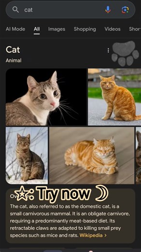 try it in Google #cat #artmusic