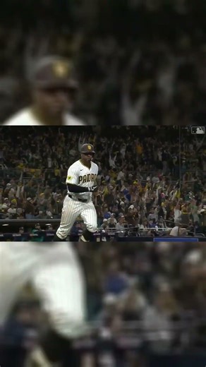 Xander Bogaerts HR — Distance 381 FT | Launch Angle 24.0° | Exit Velocity 104.0 MPH #Shorts