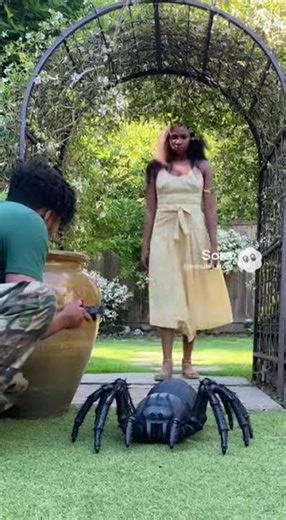Giant Mechanical Spider Prank Fails! She Didn't Even Notice #prankfail #comedy