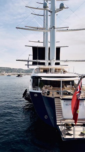 7.6K views · 1.5K reactions | RARE SIGHTING‼️ @syblackpearlofficial...