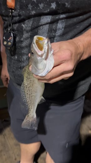 Large Speckled Trout!!! #fishing #fishingvideo #outdoors #shorts