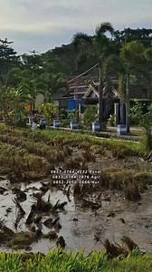 Sedikit review tentang "Ural Motorcycle" Motor lucu bentuknya asli seperti ini bukan buatan atau modifikasi. Kondisi siap jalan enak, langsam nya jan nyeni bolo, langsung gas en | Alex Zakaria