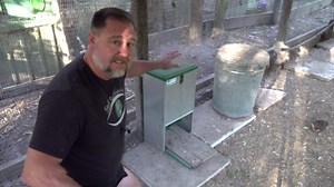 I converted a chicken treadle feeder into a no waste quail feeder
