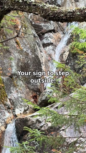 3 comments | Go experience the benefits of local parks EVERYONE...