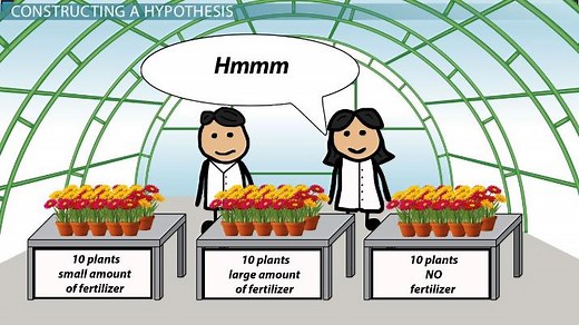 Identifying Potential Hypotheses from a Given Experiment