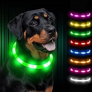 Dynmeow Light up Dog Collar Rechargeable, Flashing LED Dog Collar Glow in The Dark, Safety Night Lights for Small Medium Large Dogs (Green)
