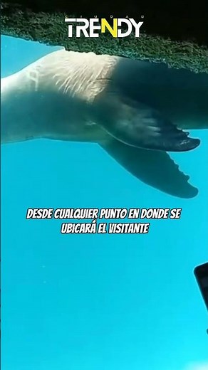 Los zoológicos más famosos de México | zoológico de San Juan de Aragón