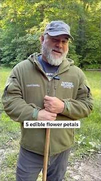 5 Edible Flower Petals Every Outdoor Person Should Know