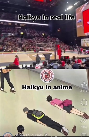 Yuji Nishida the real life Haikyu…#culture #humbleness #sportslover #Haikyu nex level #apologize
