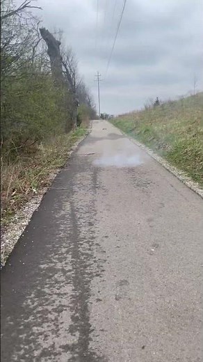 Buzz Bombs by Pro Fireworks