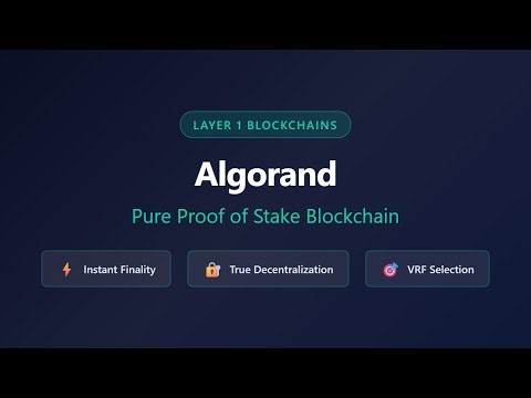 Algorand: Pure Proof of Stake Blockchain Explained | Layer 1 Blockchains
