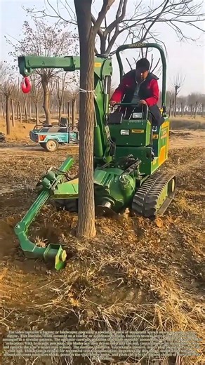 Unearthing the Root Ball: How a Specialized Digger Prepares a Tree for Transplant