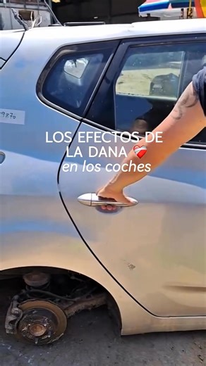 La naturaleza se abre paso en los coches desaguazados de la dana. 📹️ @desguace_cortes #dana #valencia #desguace | Valencia Secreta