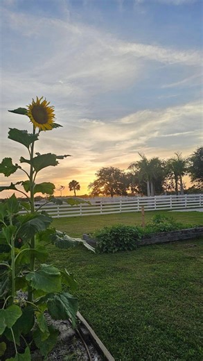 Blossom & Brie on Instagram: "Trying to cook at home… But my GPS keeps sending me to Blossom & Brie. 😅😂"