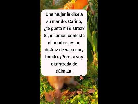 Chistes en Vivo y Humor Divertido 😂 Transmisión en Directo de Risas y Comedia🤣