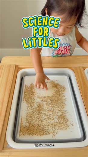 52K views · 190 reactions | 6 Science for Littles ✨Simple, hands-on experiments perfect for toddlers & preschoolers! Each activity builds curiosity, encourages discovery, and makes learning FUN.朗 #montessoriactivities #diyactivitiesforkids #science #scienceforkids #learningthroughplay #toddleractivities #preschoolactivities #kindergartenactivities #toddleractivityideas | Life with Zion | Facebook