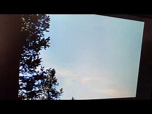 Perri 1957: birds Alarming Perri!