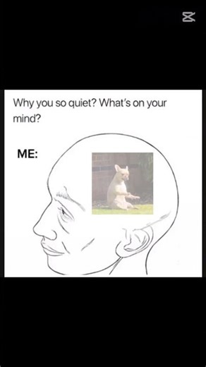 #funny #everyone #meme