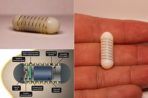 MIT Researchers Develop Ingestible Electroceutical FLASH Capsule That Can Increase or Decrease Appetite