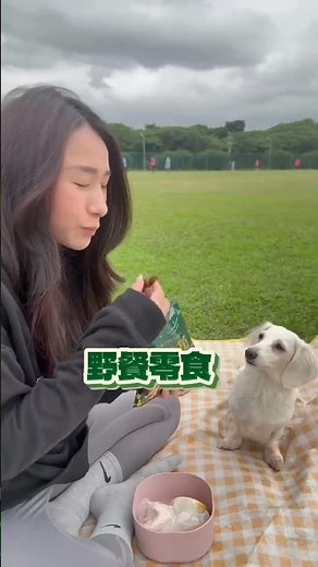 丹尼船長全新口味💖畬室法式可可香頌米米花 #畬室監製 #無麩質 #大人味 #頂級莊園 #可可粉