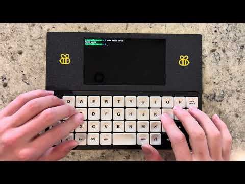 Bee-Write-Back Demo