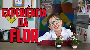 12M views · 91K reactions | Passei 30 dias fazendo bullying com uma planta. E o resultado é surpreendente! #chorei #diganãoaobullying Veja meus outros vídeos aqui: https://bit.ly/2ljvHmR Instagram: https://bit.ly/2tcrmtm | O Show do Tiago | Facebook