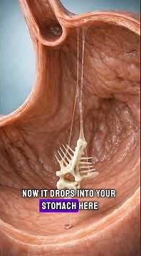 Swallow a Fish Bone? This is What Happens Inside Your Body #humanbody
