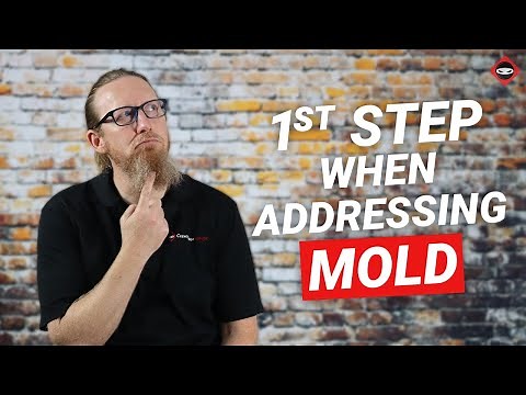 Got Mold in Your Crawl Space? What To Do First