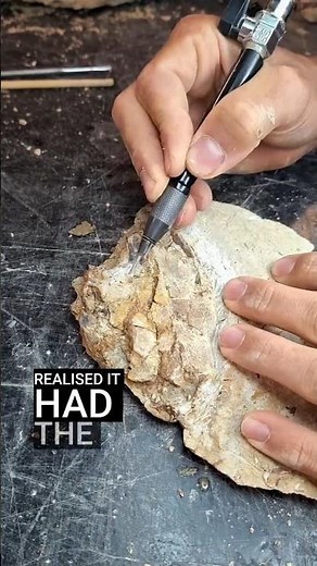 l Found EVERY Dinosaur Fossil! 🦖 Ultimate Discovery Mission #fossils #metaldetecting