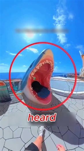 This slide was said to go on forever 😱😨