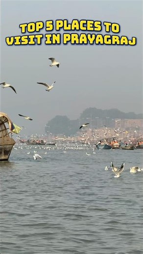 Top 5 Best Places To Visit in Prayagraj #travel #shorts #prayagraj