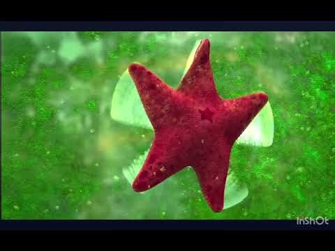 1 Second of every Finding Nemo Sequels (2003-2016)