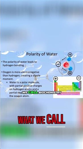AP Biology: Water's Role in Biochemistry Explained