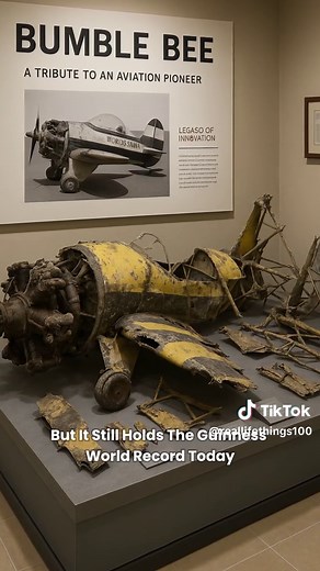 Meet the Starr Bumble Bee II — the world’s smallest aircraft, built in a garage and smaller than a parking spot! A wild story of rivalry, innovation, and record-breaking flight. #aviation #worldrecord #DIY