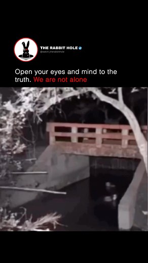 4.5M views · 9K reactions | Open your eyes and mind to the truth. We are not alone | The Rabbit Hole | Facebook