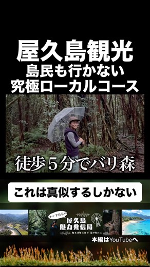 【屋久島一周】島民激選！究極のローカルコースはこれだ！