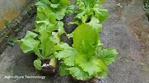 16K views · 835 reactions | Agriculture intelligente | Agriculteurs Modernes | Facebook