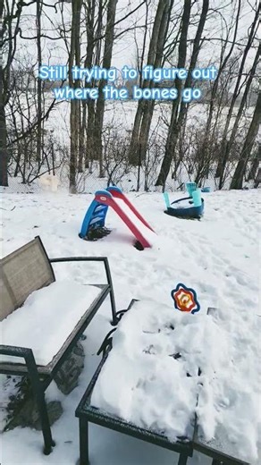 squirrel beats bone #fyp #shorts #love #hubble #dog #cute #cutedog #bones #squirrel #puppy #fypシ