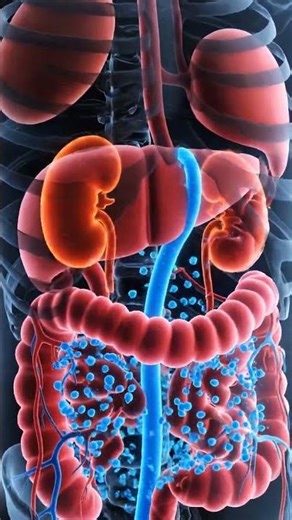 What REALLY Happens When You OVERDOSE on Protein Powder