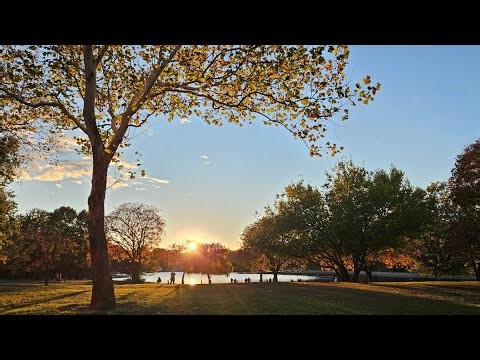 Just Listed - Renovated One Bedroom across from James J. Braddock Park, North Bergen, NJ