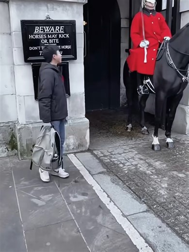Understanding Japanese Respect for Royal Guard Horses