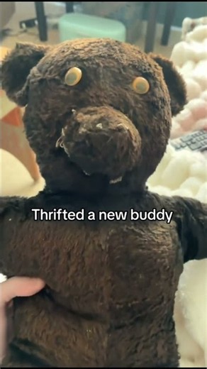 Thrifted a new buddy!