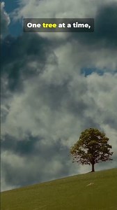A World Without Trees 🌲❌: Can We Survive?