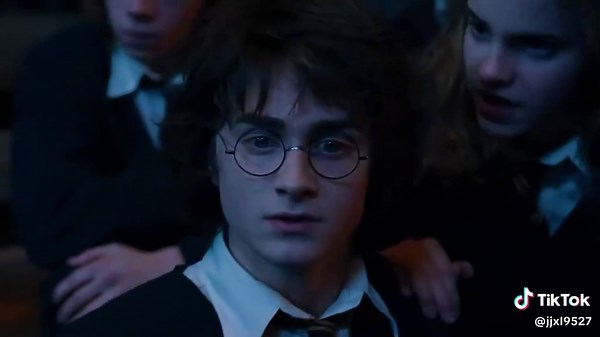 Harry Potter and the Goblet of Fire: The Band Tour.#harrypotteredit #fyp #Hogwarts #usa #snape