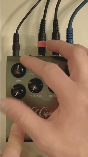 Strymon EL CAPISTAN V2 Tape Echo (feedback) #shorts