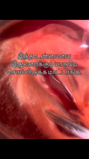 Ishalnaturalz® | Natural skincare on Instagram: "Most handmade soaps naturally have a pH between 7 and 10 because they are made using the cold-process method. This can feel slightly drying on the face, especially for dry or sensitive skin. Commercial soaps like Hamam, Cinthol, or Mysore Sandal do not actually contain real sandalwood or herbal extracts. They mainly use synthetic fragrance, artificial color, and chemical thickeners. Handmade soaps are still a better choice because they are made fr