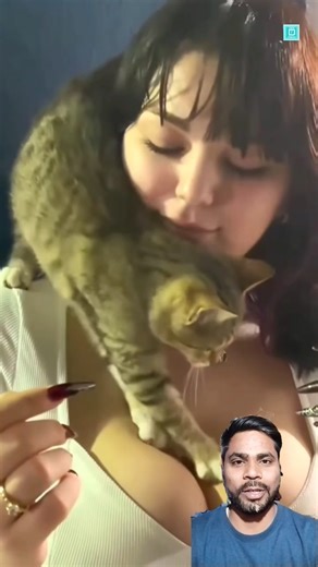 “❌Jealous Cat Mode: ACTIVATED 😼💣😂 You Won’t Believe This!” #jealouscat #funnycat #catlover #catlife