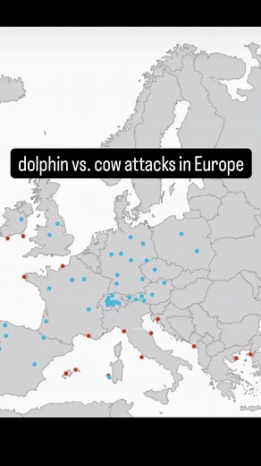 memes | daily on Instagram: "dream team 😂"